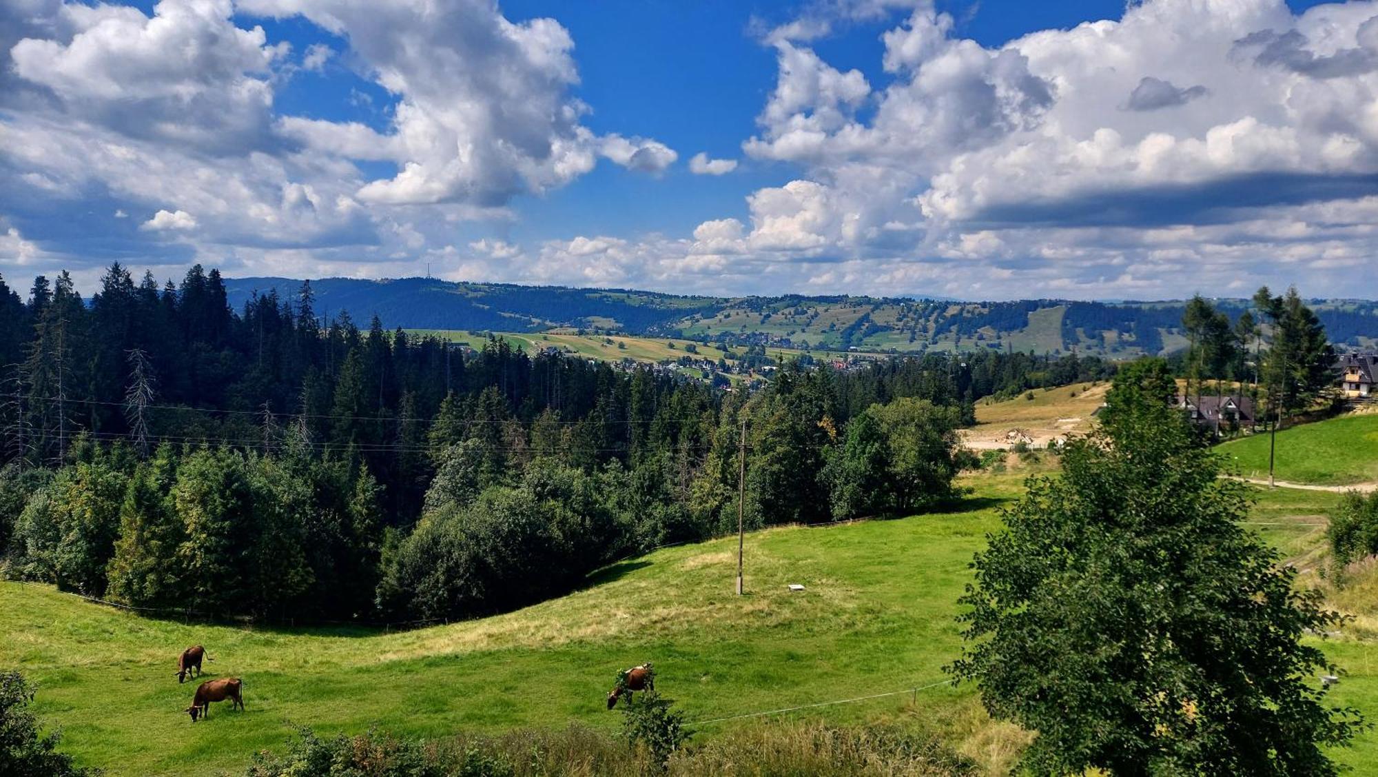 Willa Posrednia Zakopane Kültér fotó