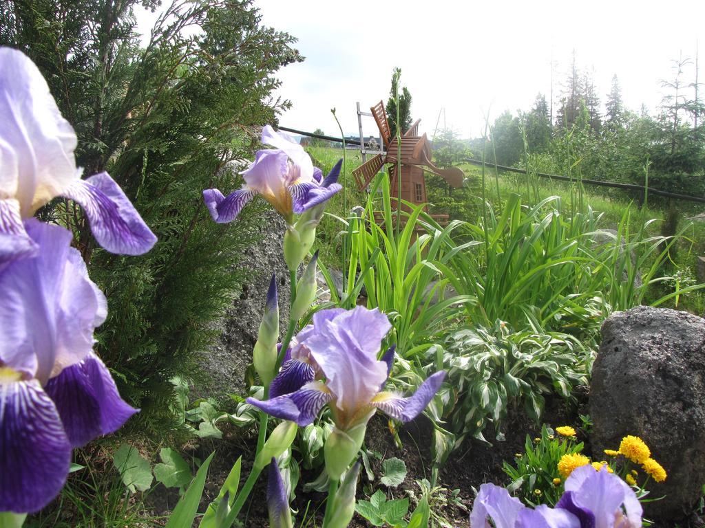 Willa Posrednia Zakopane Kültér fotó