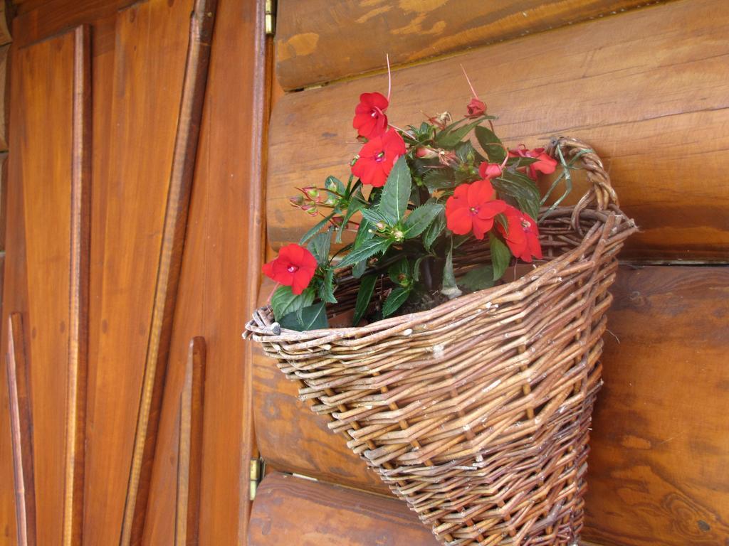 Willa Posrednia Zakopane Kültér fotó