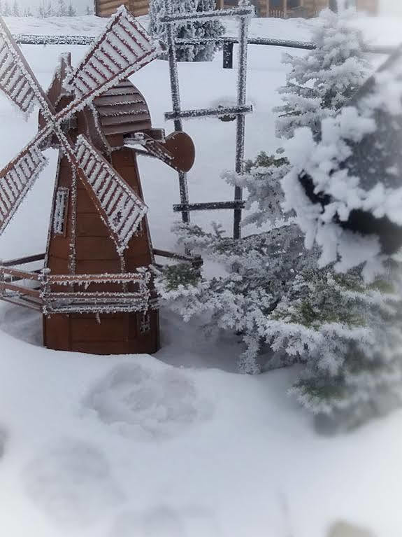 Willa Posrednia Zakopane Kültér fotó